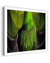 Green feathers - Bedroom, bathroom painting on canvas | FEEBY