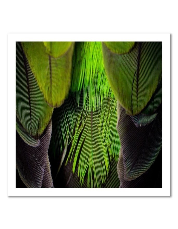 Green feathers - Bedroom, bathroom painting on canvas | FEEBY