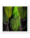 Green feathers - Bedroom, bathroom painting on canvas | FEEBY