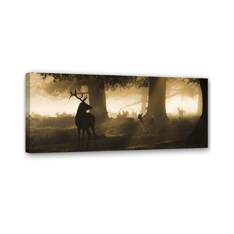 Canvas prints - Deer forest in the mist | FEEBY