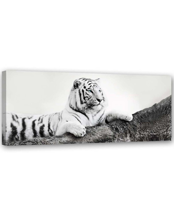 Canvas print Tiger Wildlife...