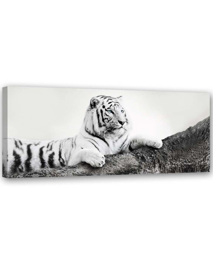 Tiger wild animal - Bedroom wall art painting | FEEBY