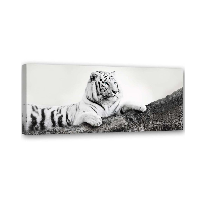 Tiger wild animal - Bedroom wall art painting | FEEBY