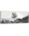 Tiger wild animal - Bedroom wall art painting | FEEBY