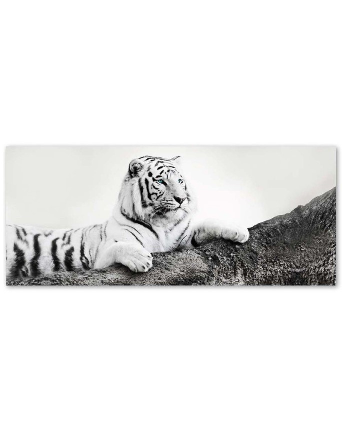 Tiger wild animal - Bedroom wall art painting | FEEBY
