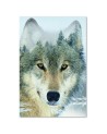 Wolf on the background of the forest - Canvas prints for the living room | FEEBY