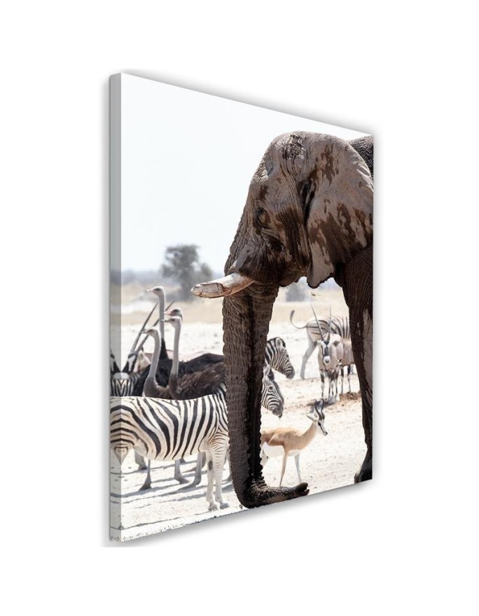 Bedroom Canvas painting - Animals on the savannah elephant | FEEBY