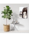 Bedroom Canvas painting - Animals on the savannah elephant | FEEBY