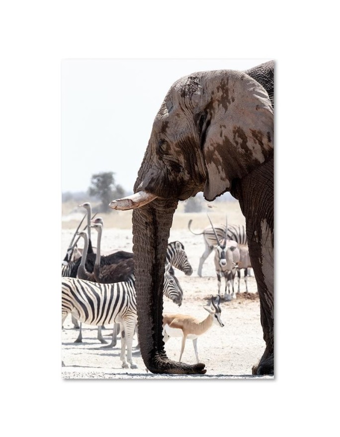 Bedroom Canvas painting - Animals on the savannah elephant | FEEBY