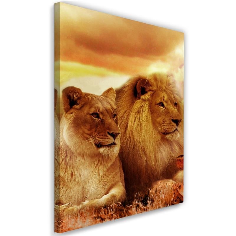 Modern canvas painting - Pair of lions | FEEBY
