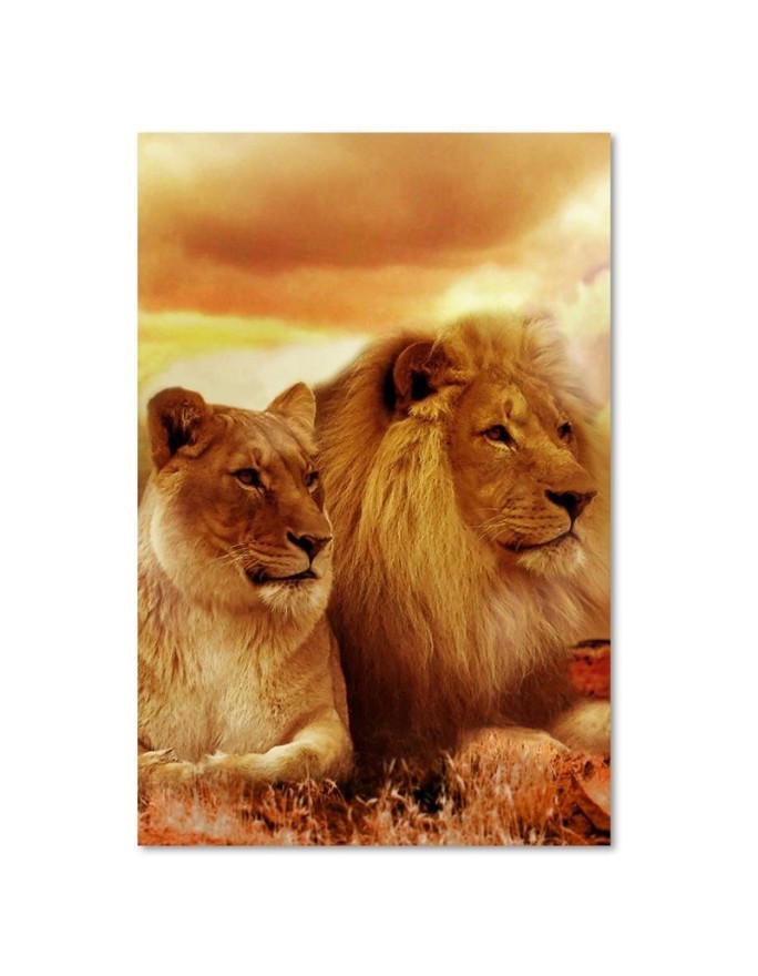 Modern canvas painting - Pair of lions | FEEBY