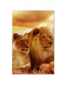 Modern canvas painting - Pair of lions | FEEBY