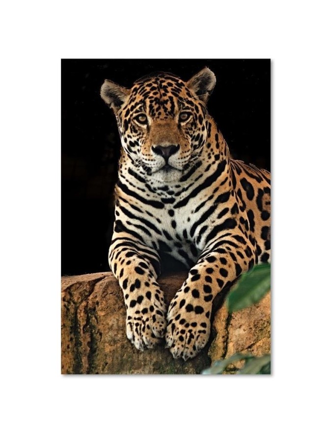 Modern canvas painting for living room - Leopard | FEEBY
