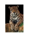 Modern canvas painting for living room - Leopard | FEEBY