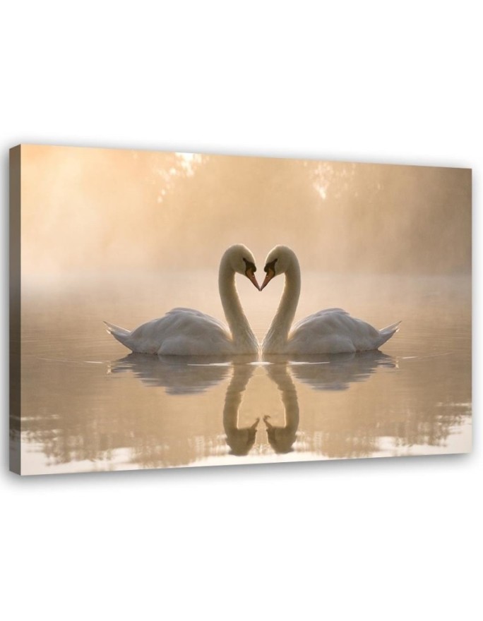 Canvas print Swans on a pond