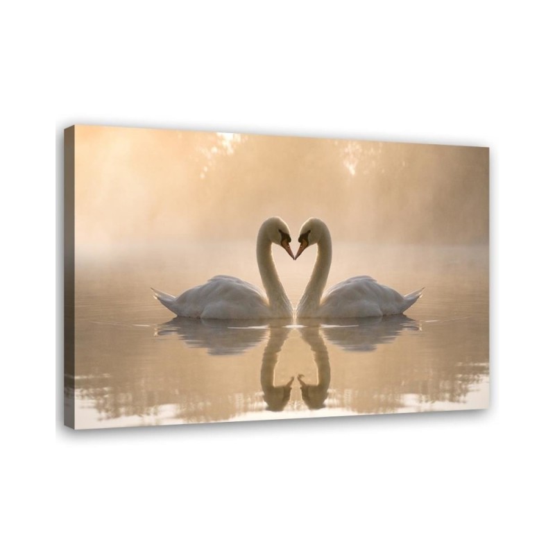 Modern Canvas painting for bedroom - Swans on a pond in the morning | FEEBY