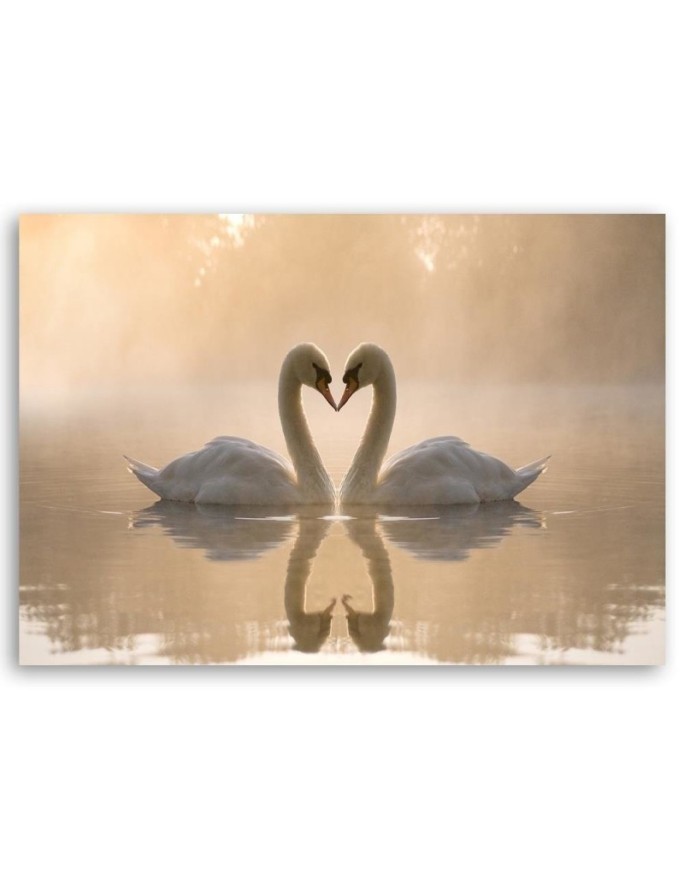 Modern Canvas painting for bedroom - Swans on a pond in the morning | FEEBY