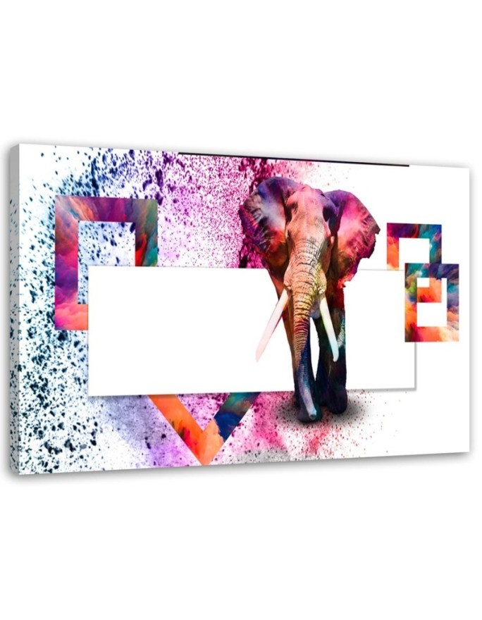 Living room decoration - Multicoloured elephant on white background | FEEBY