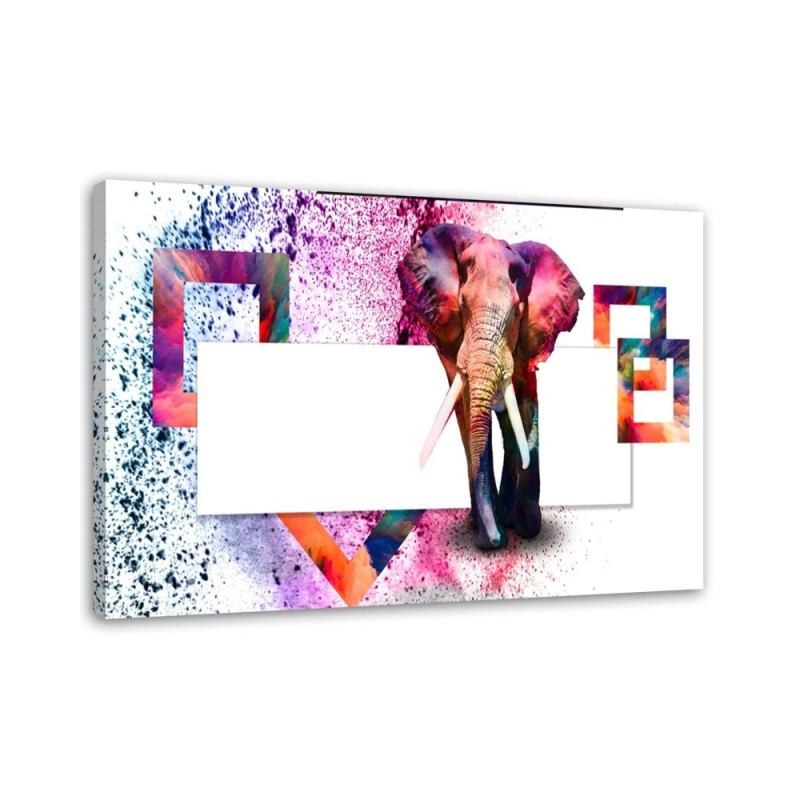 Living room decoration - Multicoloured elephant on white background | FEEBY