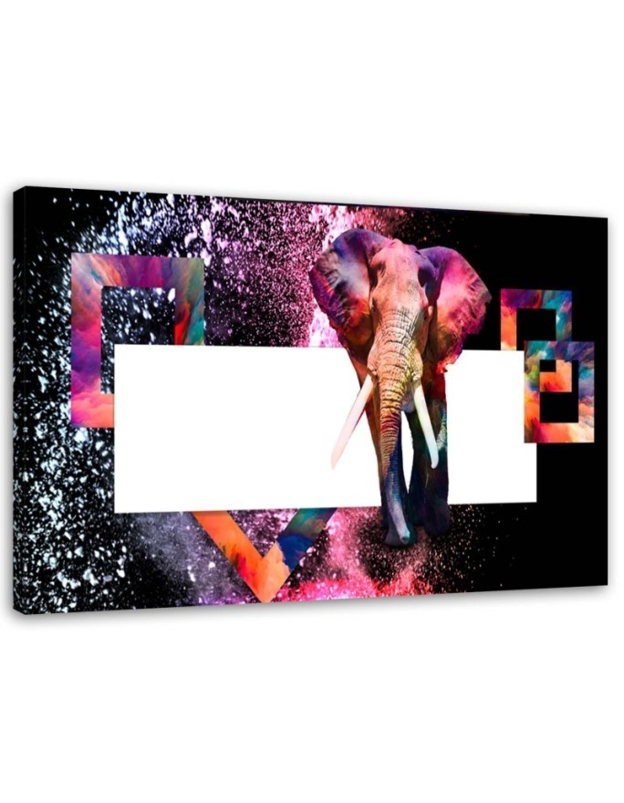 Modern canvas painting - Coloured elephant on black background | FEEBY