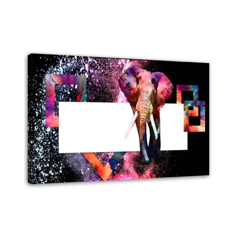 Modern canvas painting - Coloured elephant on black background | FEEBY