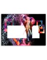 Modern canvas painting - Coloured elephant on black background | FEEBY
