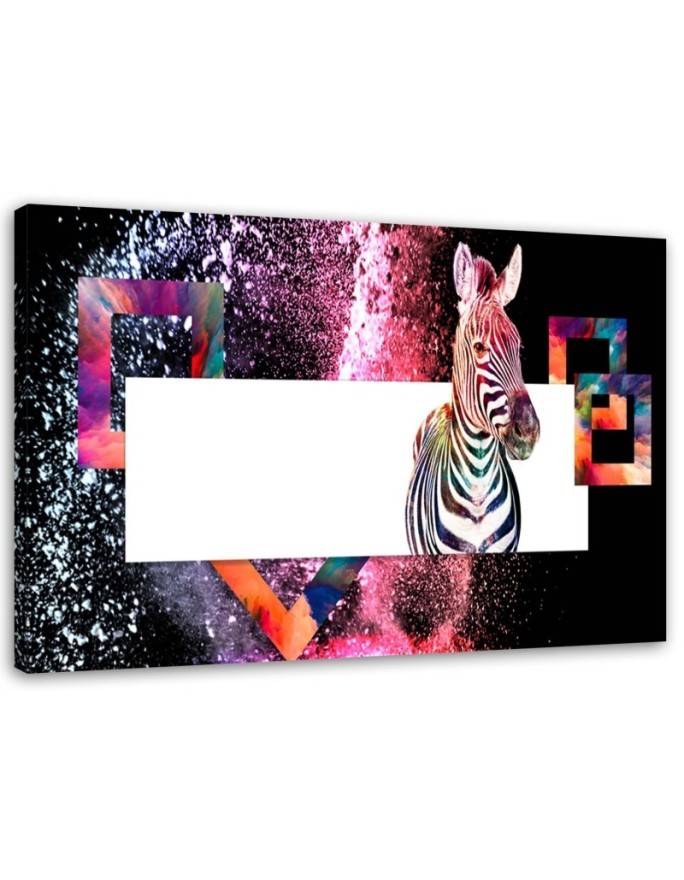 Colourful zebra on black background - Wall art decoration | FEEBY