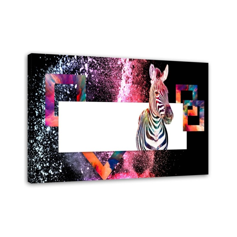 Colourful zebra on black background - Wall art decoration | FEEBY
