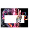 Colourful zebra on black background - Wall art decoration | FEEBY