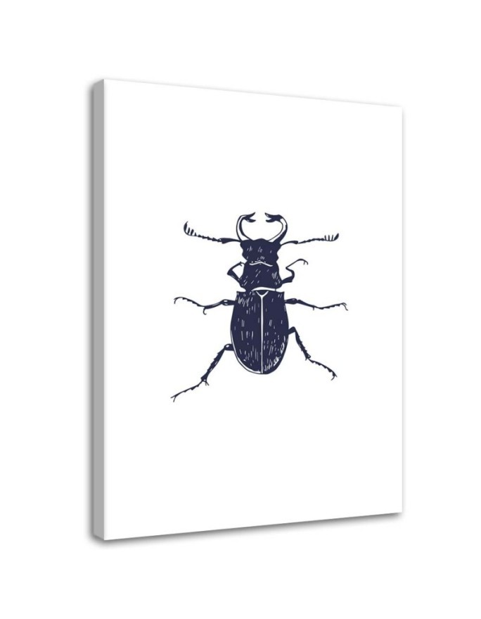 Black beetle- Modern Wall art decoration for living room | FEEBY