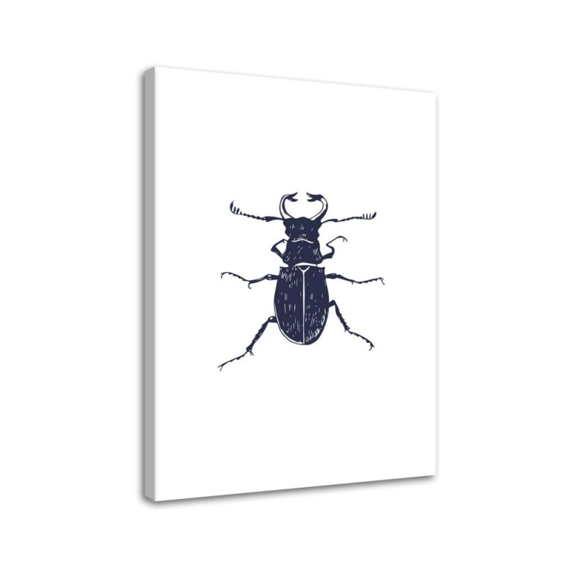 Black beetle- Modern Wall art decoration for living room | FEEBY