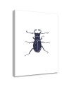 Black beetle- Modern Wall art decoration for living room | FEEBY
