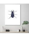 Black beetle- Modern Wall art decoration for living room | FEEBY