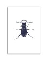 Black beetle- Modern Wall art decoration for living room | FEEBY