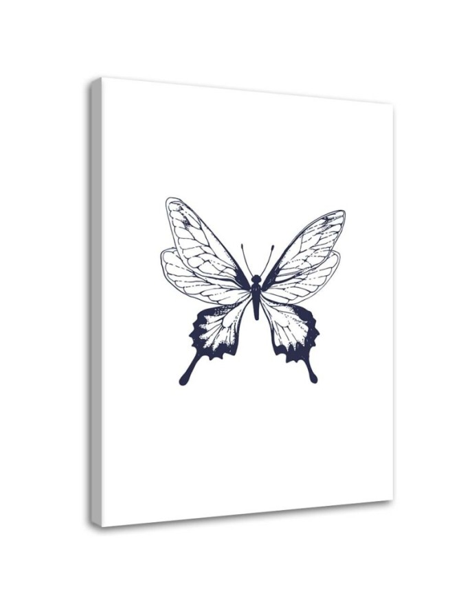Canvas print Drawn butterfly