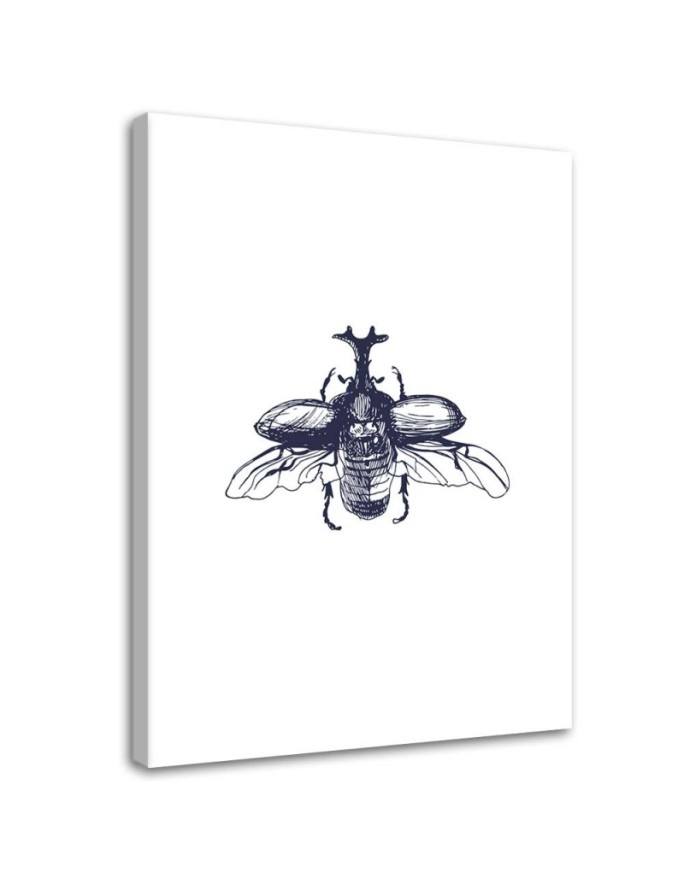 Canvas print Flying beetle