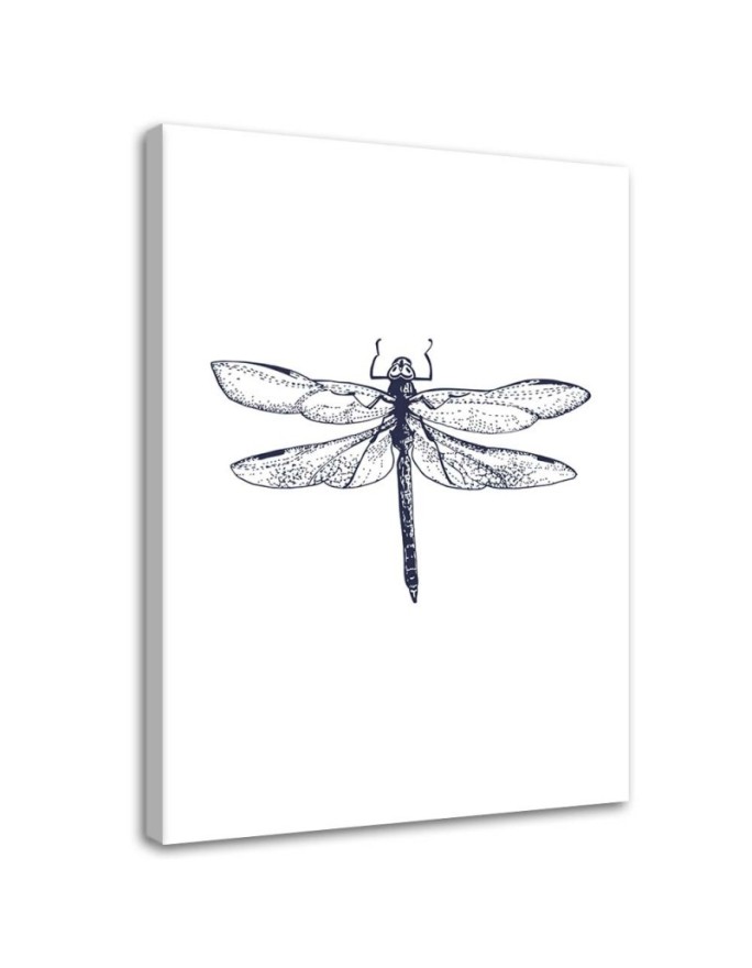 Canvas print Drawn dragonfly