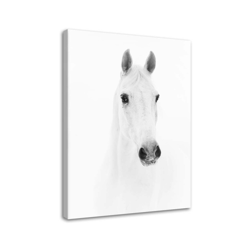 Canvas painting Grey horse - Black and white | FEEBY