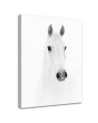 Canvas painting Grey horse - Black and white | FEEBY