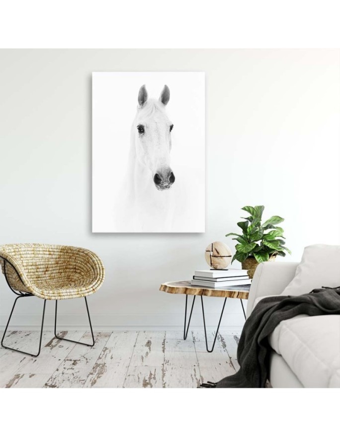 Canvas painting Grey horse - Black and white | FEEBY