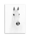 Canvas painting Grey horse - Black and white | FEEBY