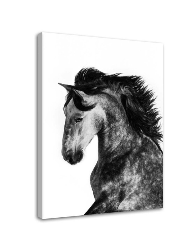 Wild steed - Canvas painting for living room | FEEBY