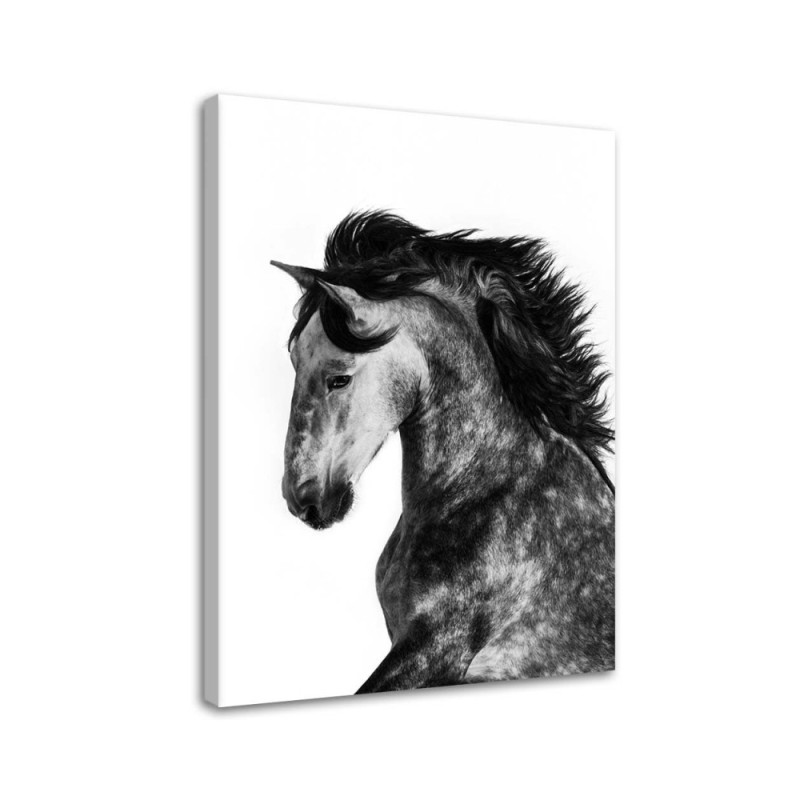 Wild steed - Canvas painting for living room | FEEBY