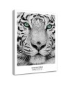 White tiger - Modern wall art decoration for living room | FEEBY