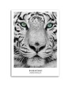 White tiger - Modern wall art decoration for living room | FEEBY