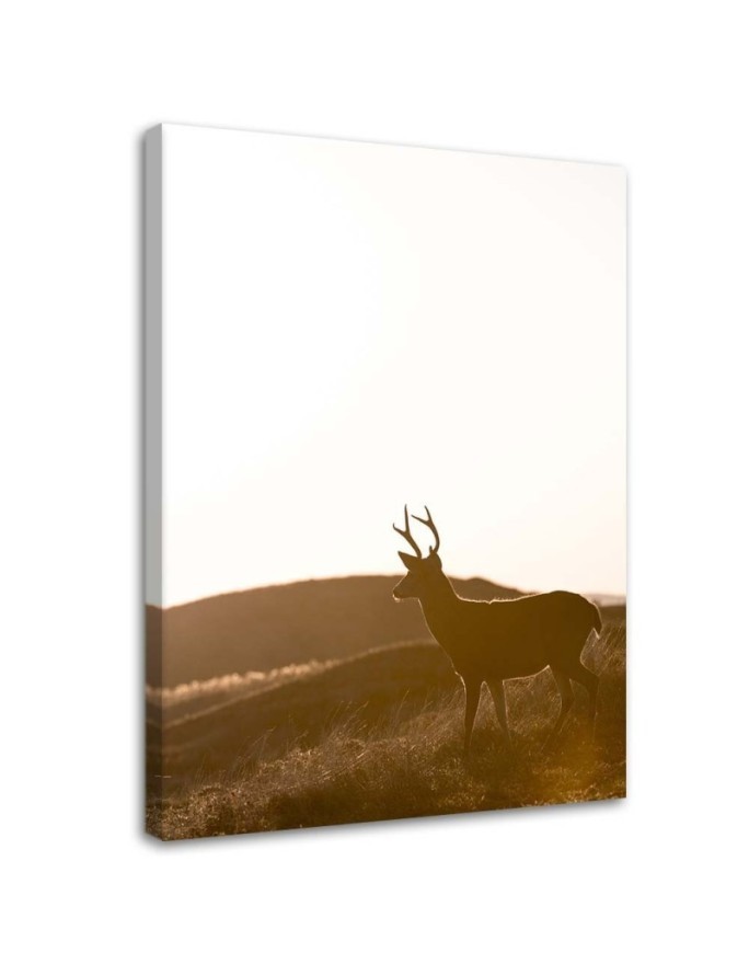 Modern Canvas painting - Young deer - Wall decoration | FEEBY