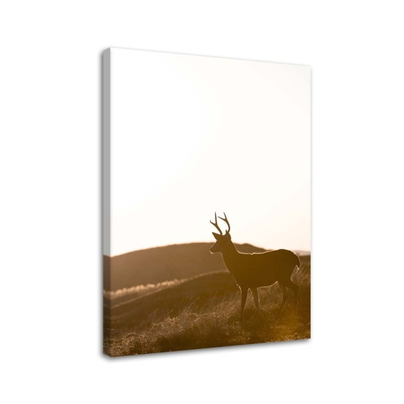 Modern Canvas painting - Young deer - Wall decoration | FEEBY