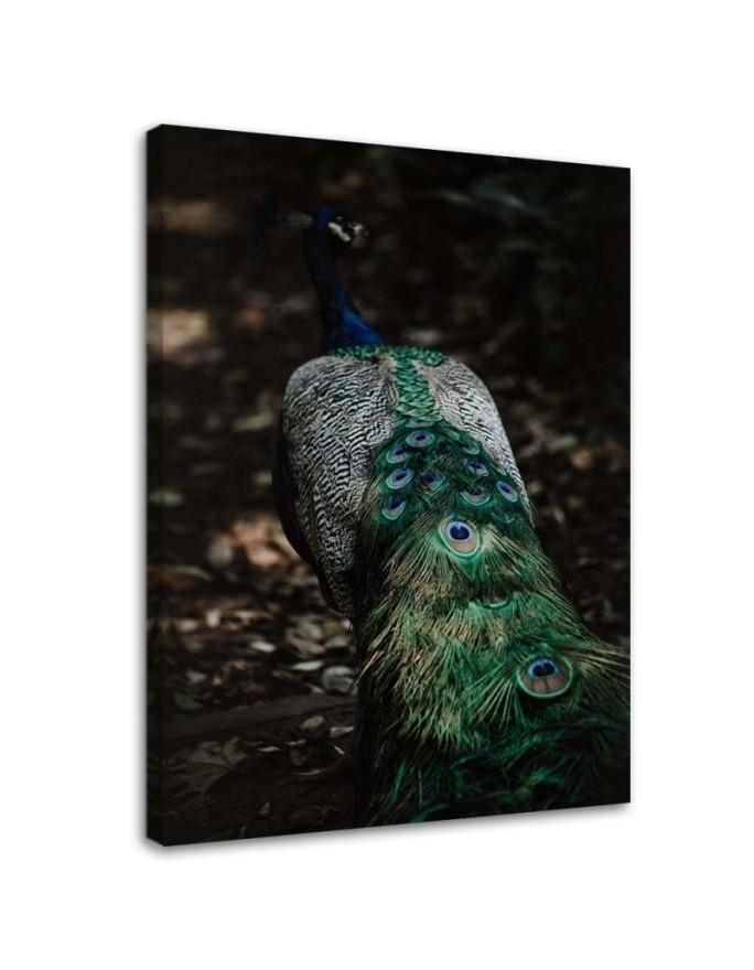 Canvas painting for living room - Peacock tail | FEEBY