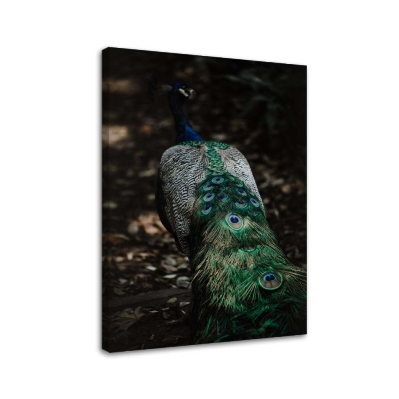 Canvas painting for living room - Peacock tail | FEEBY