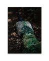 Canvas painting for living room - Peacock tail | FEEBY